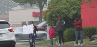 Arlington prueba programa piloto para disuadir a las personas de dar dinero a los mendigos Arlington prueba programa piloto para disuadir a las personas de dar dinero a los mendigos