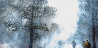 El exceso de nieve atrasó las quemas controladas de malezas en bosques y parques de Minnesota El exceso de nieve atrasó las quemas controladas de malezas en bosques y parques de Minnesota
