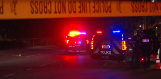 Fort Worth: hombre hirió a tres personas cuando abrió fuego en un club de striptease Fort Worth: hombre hirió a tres personas cuando abrió fuego en un club de striptease