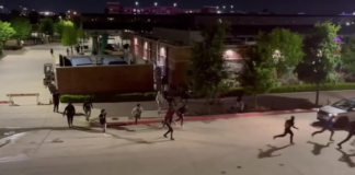 Abogados piden que vuelva la Feria de Frisco, cerrada por disturbios y tiroteos Abogados piden que vuelva la Feria de Frisco, cerrada por disturbios y tiroteos