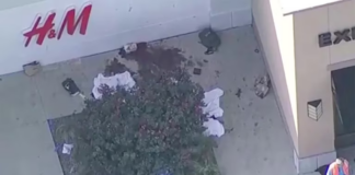 Tiroteo en un centro comercial: serían cuatro los muertos y el tirador fue abatido por la policía Tiroteo en un centro comercial: serían cuatro los muertos y el tirador fue acribillado por la policía