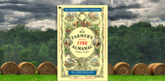Calor, humedad y tormentas: el pronóstico veraniego del Farmers’ Almanac para Minnesota Calor, humedad y tormentas: el pronóstico veraniego del Farmers' Almanac para Minnesota