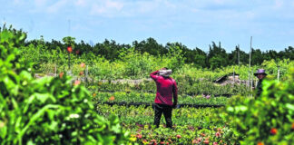 “Sin nosotros no hay Florida”: migrantes al gobernador Ron DeSantis "Sin nosotros no hay Florida": migrantes al gobernador Ron DeSantis