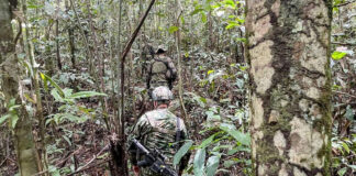 Niños perdidos en selva colombiana están vivos, dicen autoridades Niños perdidos en selva colombiana están vivos, dicen autoridades