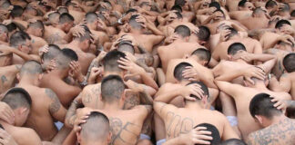 Torturas y 160 muertos bajo custodia en El Salvador: ONG Torturas y 160 muertos bajo custodia en El Salvador: ONG