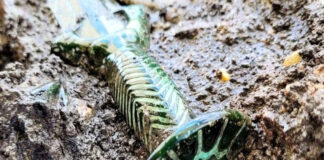 Hallan una rara espada “octogonal” de hace 3 mil años, en Alemania Hallan una rara espada “octagonal” de hace 3 mil años, en Alemania