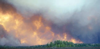 El incendio forestal en el área silvestre de Boundary Waters Canoe fue causado por un ser humano El incendio forestal en el área silvestre de Boundary Waters Canoe fue causado por un ser humano