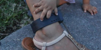 Cae la cantidad de inmigrantes indocumentados liberados por Aduanas bajo fianza Cae la cantidad de inmigrantes indocumentados liberados por Aduanas bajo fianza