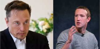 “La pelea más grande en la historia de UFC”, dijo Abbott sobre la pelea entre Musk y Zuckerberg "La pelea más grande en la historia de UFC", dijo Abbott sobre la pelea entre Musk y Zuckerberg