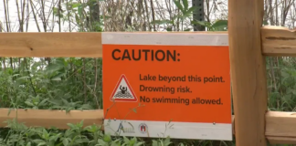 Un quinto hombre fue encontrado muerto en Lady Bird Lake en Austin: ¿asesino serial? Un quinto hombre fue encontrado muerto en Lady Bird Lake en Austin: ¿asesino serial?