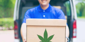 El negocio de la marihuana en Minnesota empieza a crecer: ¿cómo será la entrega a domicilio? El negocio de la marihuana en Minnesota empieza a crecer: ¿cómo será la entrega a domicilio?