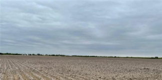 Legisladores de Nuevo México advierten sobre dejar tierras de cultivo sin sembrar: ¿por qué? Legisladores de Nuevo México advierten sobre dejar tierras de cultivo sin sembrar: ¿por qué?