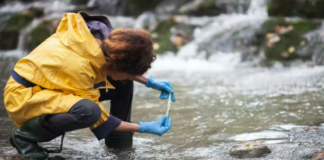 20 años y casi 28,000 millones de dólares: lo que cuesta eliminar los químicos de las aguas 20 años y casi 28,000 millones de dólares: lo que cuesta eliminar los químicos de las aguas