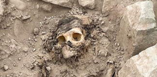 Hallan momia de 3 mil años en medio de un basurero en Perú Hallan momia de 3 mil años en medio de un basurero en Perú