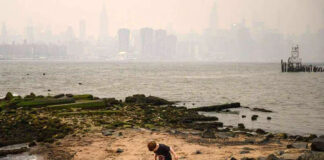 Estadísticas muestran a NY como la ciudad más contaminada del mundo Estadísticas muestran a NY como la ciudad más contaminada del mundo