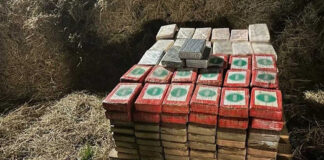 Aseguran 240 paquetes de cocaína ocultos en paja en Veracruz Aseguran 240 paquetes de cocaína ocultos en paja en Veracruz