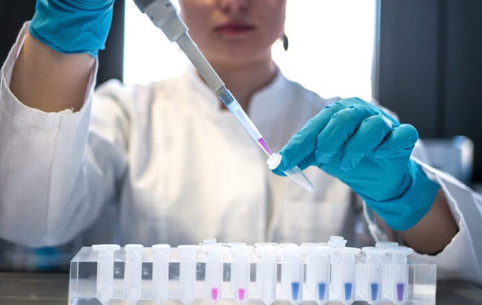 ¿Qué es el virus Oz que tiene en alerta a Japón?