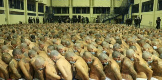 Corrupción en El Salvador pone en duda el sistema carcelario de Bukele Corrupción en El Salvador pone en duda el sistema carcelario de Bukele