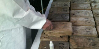 Imputan por narcotráfico al “Chelelo”, exlíder del Cártel del Golfo Imputan por narcotráfico al "Chelelo", exlíder del Cártel del Golfo