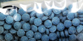 México y EEUU desmantelan red de tráfico de fentanilo México y EEUU desmantelan red de tráfico de fentanilo