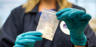 EEUU anuncia plan contra consumo y tráfico de la “droga zombie” EEUU anuncia plan contra consumo y tráfico de la "droga zombie"