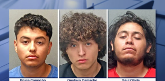 Dos adolescentes y tres adultos están bajo custodia tras robar dos autos y huir de la policía Dos adolescentes y tres adultos están bajo custodia tras robar dos autos y huir de la policía