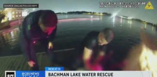Dos policías se sumergieron en el lago Bachman y salvan a una mujer que cae con su automóvil Dos policías se sumergieron en el lago Bachman y salvan a una mujer que cae con su automóvil