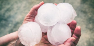 Centro de Minnesota: severas tormentas del jueves causaron daños significativos por granizo Centro de Minnesota: severas tormentas del jueves causaron daños significativos por granizo