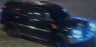 Dallas: piden ayuda para encontrar a conductor que atropelló y mató a una persona Dallas: piden ayuda para encontrar a conductor que atropelló y mató a una persona