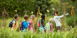 ¿De qué se trata el proyecto de ley “Escuela al aire libre para todos” en Minnesota? ¿De qué se trata el proyecto de ley "Escuela al aire libre para todos" en Minnesota?