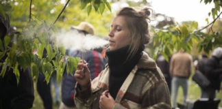 En parques y lugares públicos, ¿se podrá fumar marihuana en Minnesota? Hay polémica En parques y lugares públicos, ¿se podrá fumar marihuana en Minnesota? Hay polémica