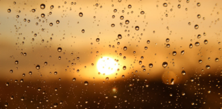 Clima para el 4 de Julio: termómetro cerca de los 100 grados, con tormentas repentinas Clima para el 4 de Julio: termómetro cerca de los 100 grados, con tormentas repentinas