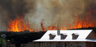 Otra semana seca en Texas: ¿cómo reaccionar si los incendios forestales llegan a su hogar? Otra semana seca en Texas: ¿cómo reaccionar si los incendios forestales llegan a su hogar?
