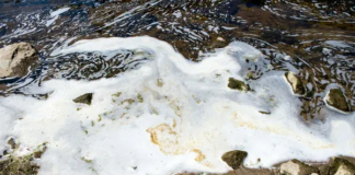 Hay rechazo al acuerdo propuesto por US$10.300 millones de las compañías que contaminaron con PFAS Hay rechazo al acuerdo propuesto por US$10.300 millones de las compañías que contaminaron con PFAS