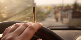 ALERTA: ¿Qué pasará con la conducción de automóviles y el consumo de marihuana? ALERTA: ¿Qué pasará con la conducción de automóviles y el consumo de marihuana?