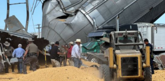 Un muerto y dos heridos tras el colapso de dos elevadores de granos Un muerto y dos heridos tras el colapso de dos elevadores de granos