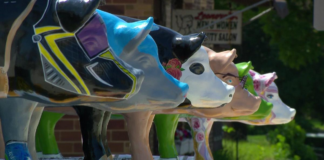 ¿Por qué el condado de Martin es llamado la capital del cerdo del estado? ¿Por qué el condado de Martin es llamado la capital del cerdo del estado?