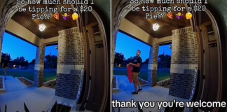 Le dio 5 dólares de propina y un repartidor de DoorDash la insultó: fue despedido Le dio 5 dólares de propina y un repartidor de DoorDash la insultó: fue despedido