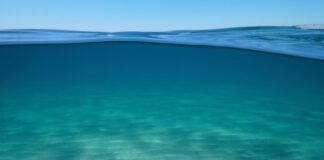 El cambio climático ha transformado el color de los océanos El cambio climático ha transformado el color de los océanos