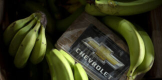 España halla 9.5 toneladas de cocaína escondida entre plátanos España halla 9.5 toneladas de cocaína escondida entre plátanos