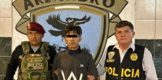 Policía peruana detiene a sicario de la banda ecuatoriana “Los Lobos” La Policía Nacional de Perú capturó en Tumbes a un presunto sicario integrante de la banda internacional “Los Lobos”, que opera desde Ecuador.