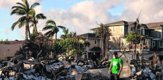 Con ADN de familiares de víctimas buscan identificar restos en Hawaii Con ADN de familiares de víctimas buscan identificar restos en Hawaii