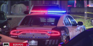 Robaron un patrullero de Dallas y le dispararon a un oficial Robaron un patrullero de Dallas y le dispararon a un oficial