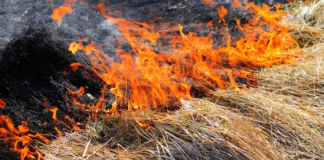 Relámpagos, viento y calor de tres dígitos: tres causas de posibles incendios en Texas Relámpagos, viento y calor de tres dígitos: tres causas de posibles incendios en Texas