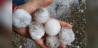 Granizo de tamaño de una pelota de tenis golpeó a gran parte de las Ciudades Gemelas Granizo de tamaño de una pelota de tenis golpeó a gran parte de las Ciudades Gemelas