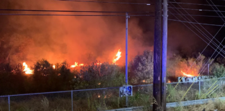 Bomberos de Austin trabajaron duro en un incendio de un campamento de personas sin hogar Bomberos de Austin trabajaron duro en un incendio de un campamento de personas sin hogar