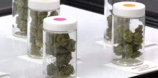 Red Lake Nation ahora venderá cannabis desde un dispensario móvil Red Lake Nation ahora venderá cannabis desde un dispensario móvil