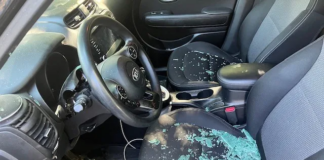 Una mujer de Minneapolis no sabe qué hacer: ¡le robaron su Kia por cuarta vez! Una mujer de Minneapolis no sabe qué hacer: ¡le robaron su Kia por cuarta vez!