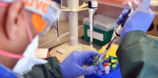 ¿Qué se sabe de las nuevas variantes de Covid-19 con las que tienes que luchar? ¿Qué se sabe de las nuevas variantes de Covid-19 con las que tienes que luchar?