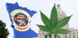 No sólo es hablar de marihuana libre: ¿qué otras leyes comienzan a regir hoy en Minnesota? No sólo es hablar de marihuana libre: ¿qué otras leyes comienzan a regir hoy en Minnesota?